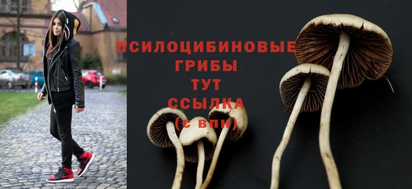 а пвп мука Кулебаки