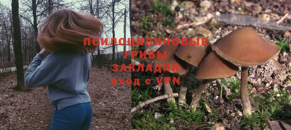 спиды Билибино