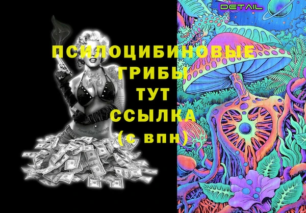 спиды Билибино