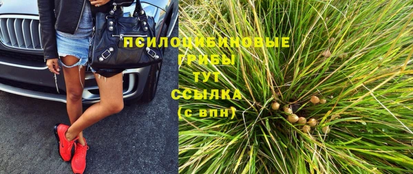 спиды Билибино