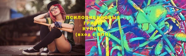 не бодяженный Бикин