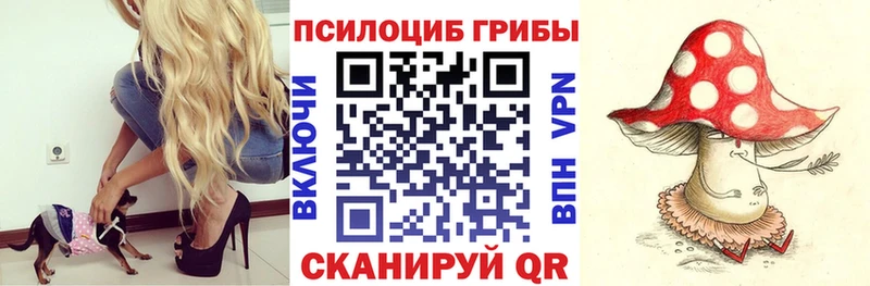 Псилоцибиновые грибы ЛСД  мега ССЫЛКА  Краснослободск 