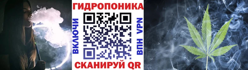 Бошки Шишки планчик  что такое   Краснослободск 